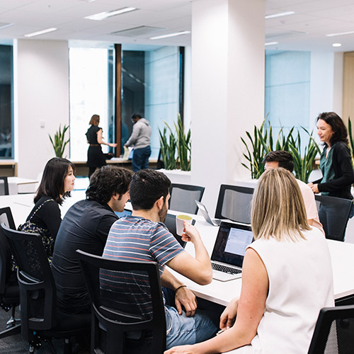 startups working in the icc