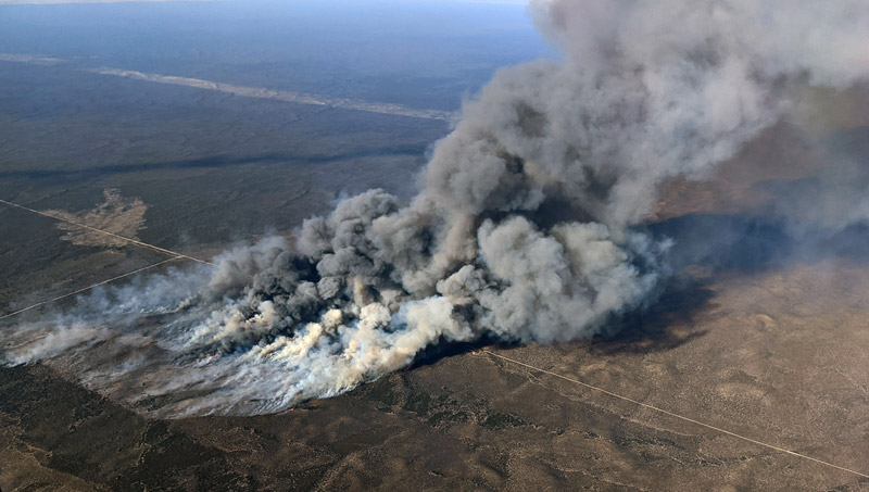 Bush fire in Ngarkat