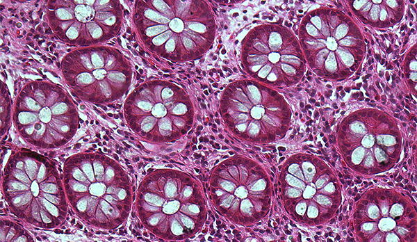 SALA Networking Event